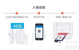 支付宝夏日风暴 ChinaJoy电子票618狂欢购票指南与电子产品销售新机遇